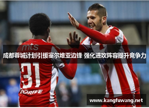 成都蓉城计划引援塞尔维亚边锋 强化进攻阵容提升竞争力